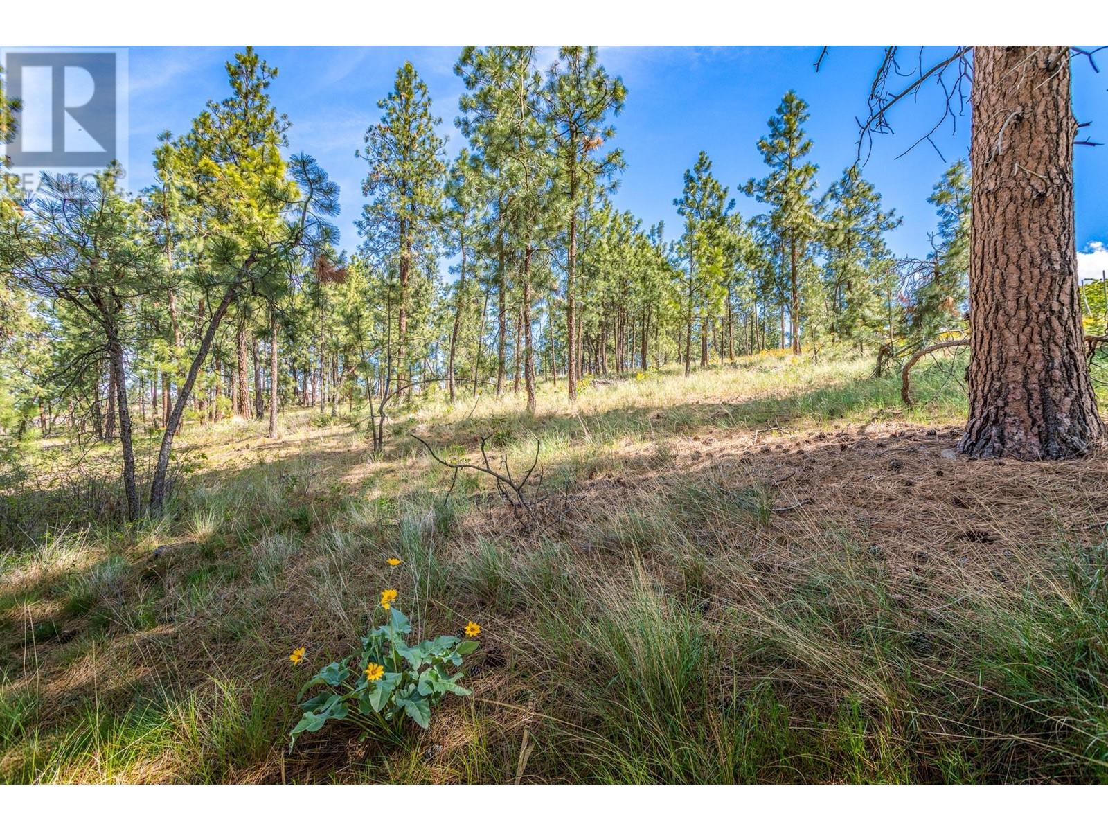  4729 Lakeshore Road, Kelowna
