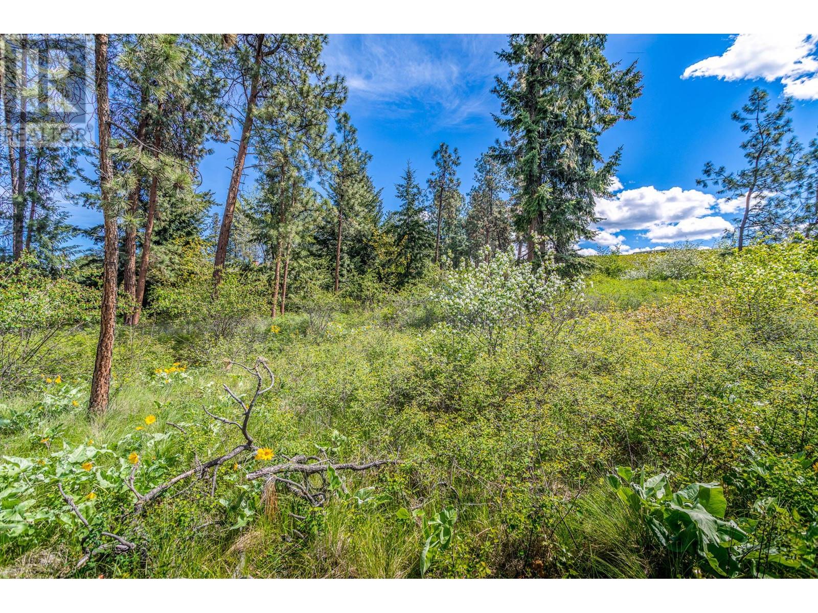  4729 Lakeshore Road, Kelowna