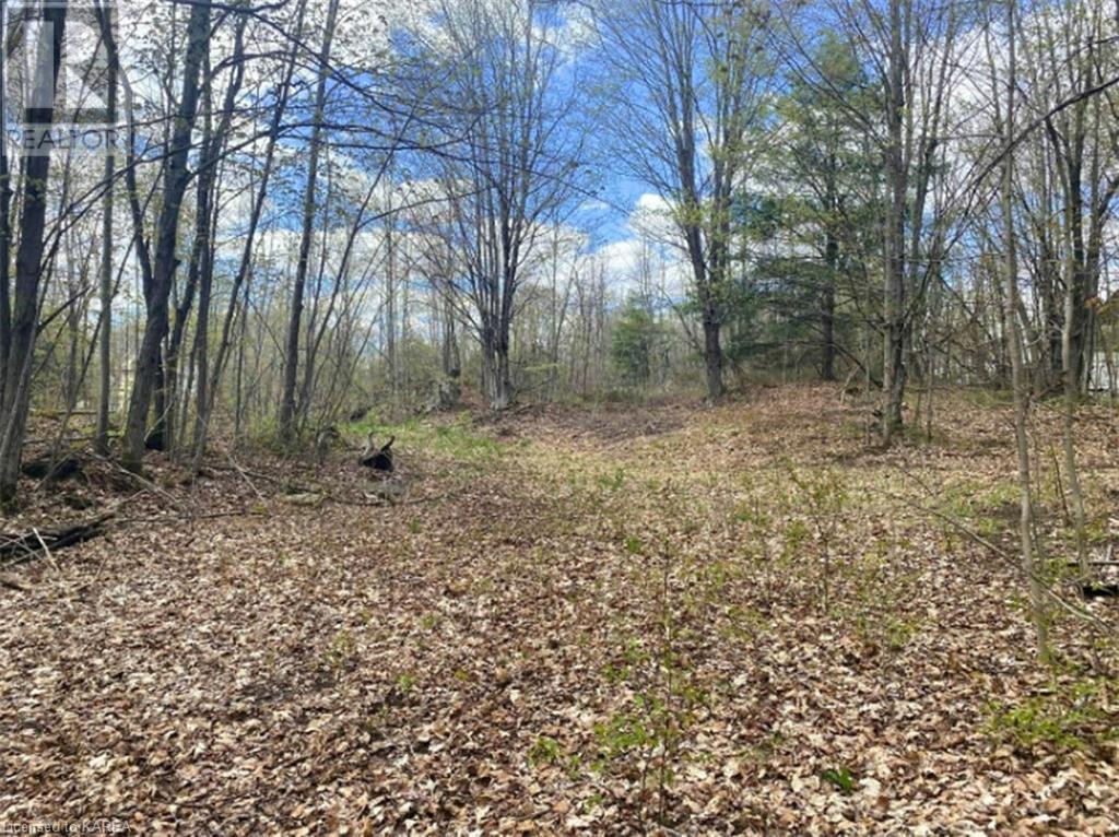 10914 Road 38, Parham