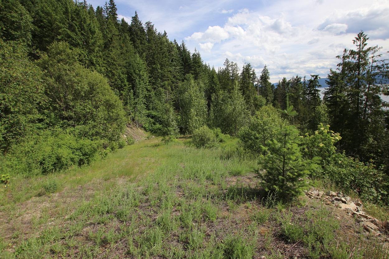 5959 Highway 23, Nakusp