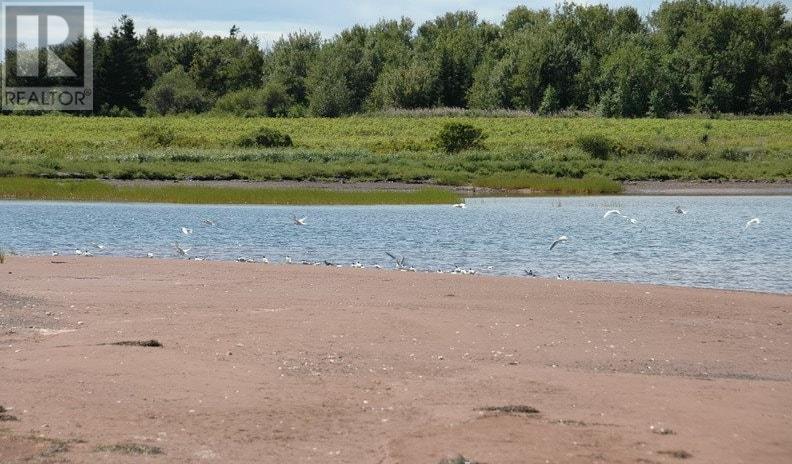 St Nicholas, St. Nicholas