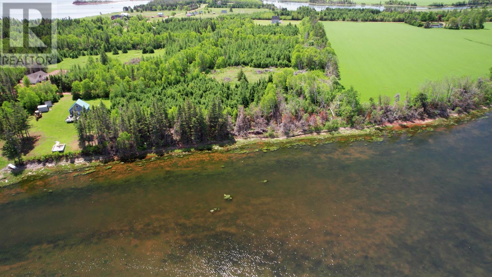 Birch Hill, Birch Hill