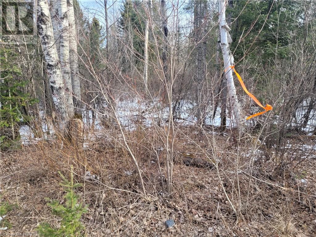 Vacant Land For Sale | Lot 33 Con 6 Part 2 Hwy 533 | Mattawa | P0H1V0