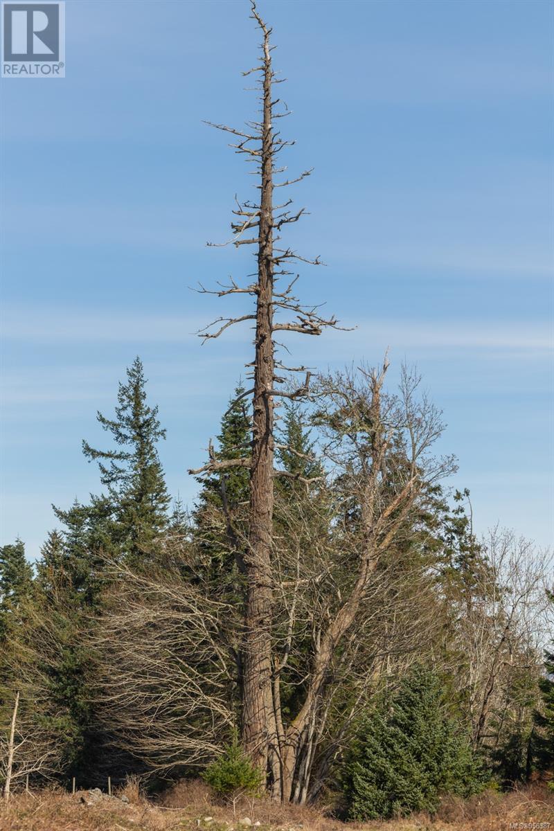 243 Cape Mudge Rd - 32