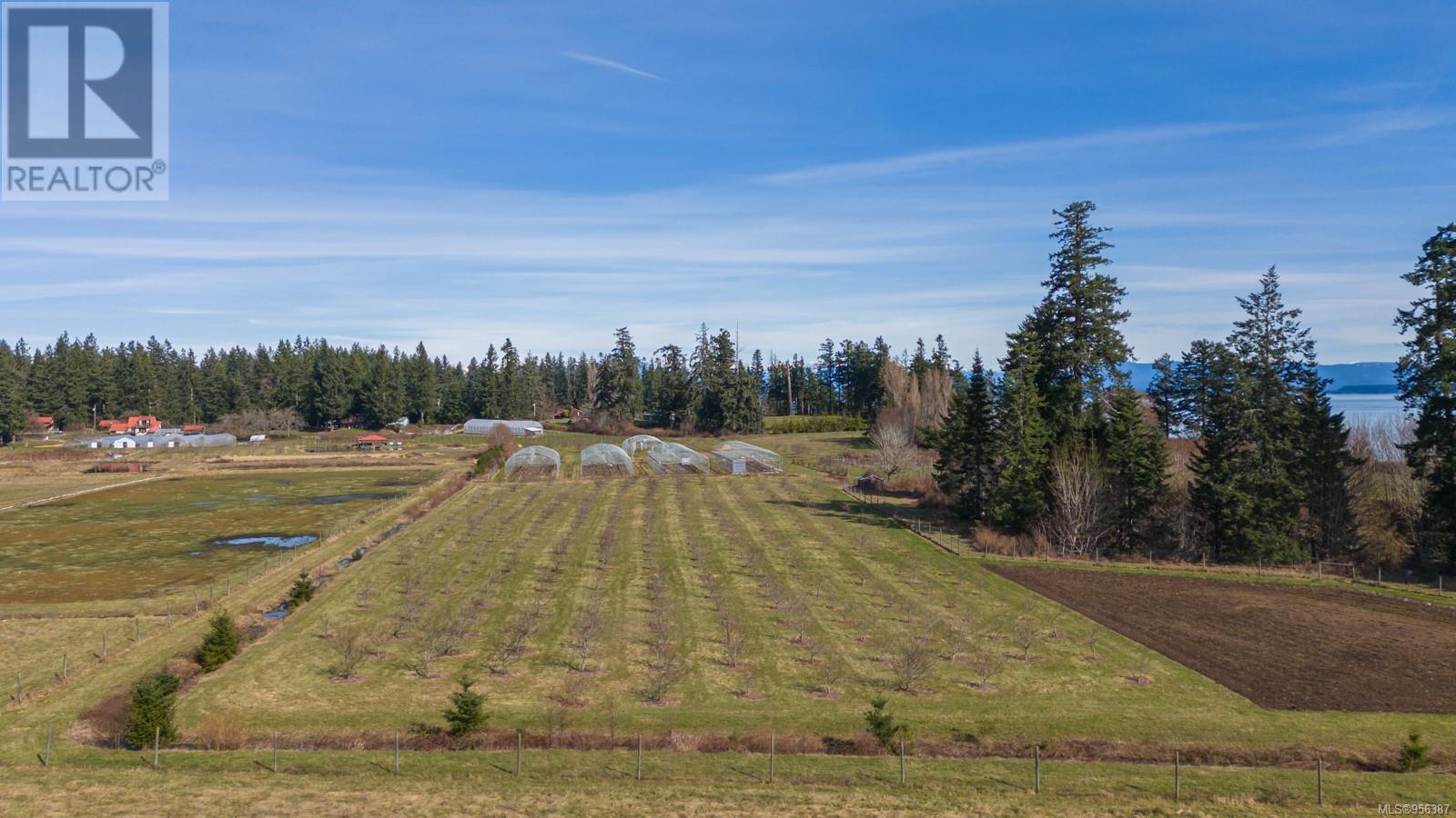 243 Cape Mudge Rd - 35