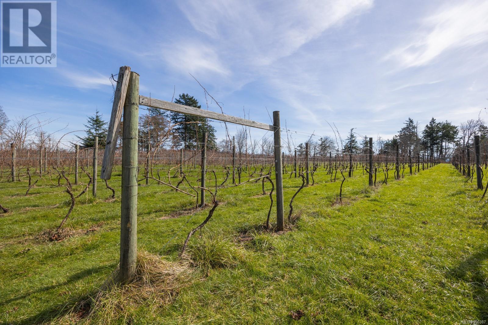 243 Cape Mudge Rd - 33