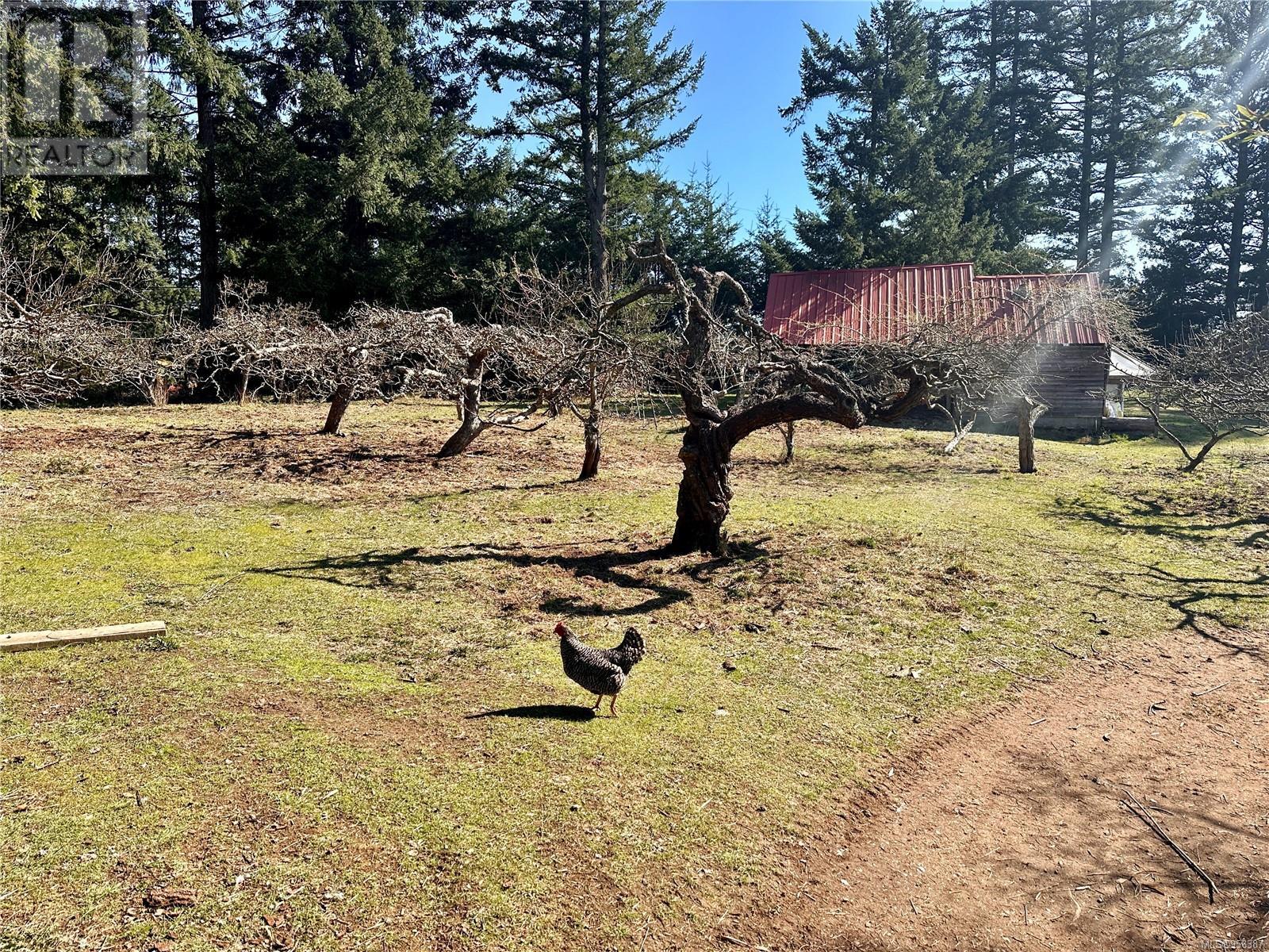 243 Cape Mudge Rd - 88