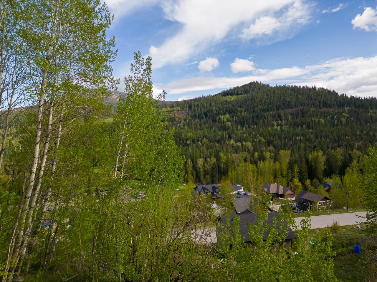 1021 SILVERTIP ROAD, Rossland