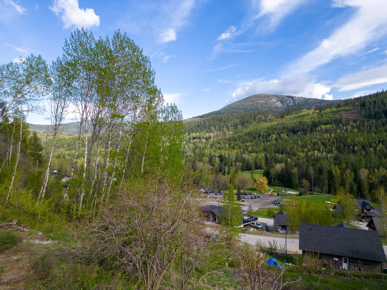 1021 SILVERTIP ROAD, Rossland