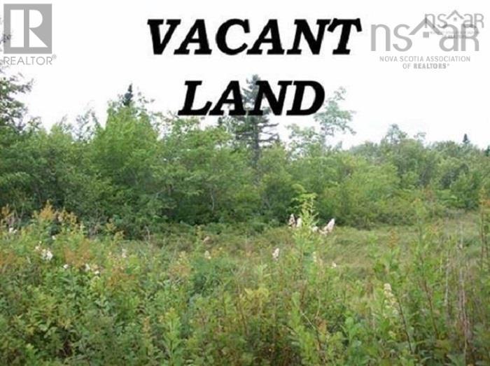 Vacant Land For Sale | Lot Lower Branch Road | New Canada | B0R1E0