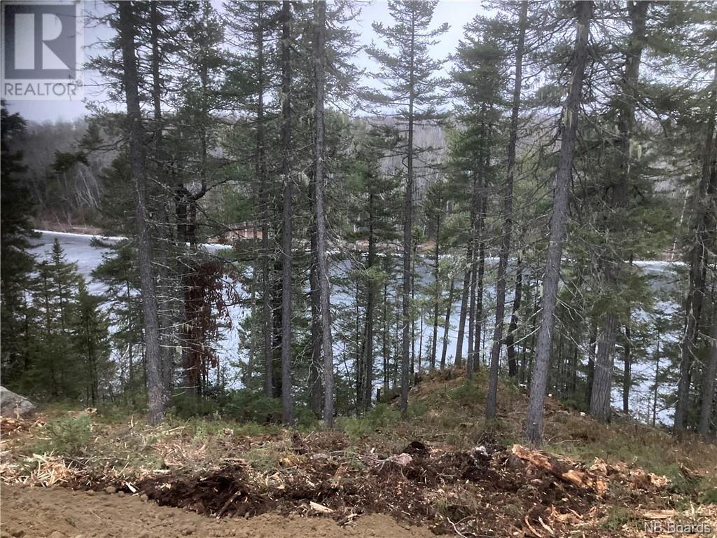 Photo 3 of Lot 2016 9 Portage Road, Nepisiguit Falls NB