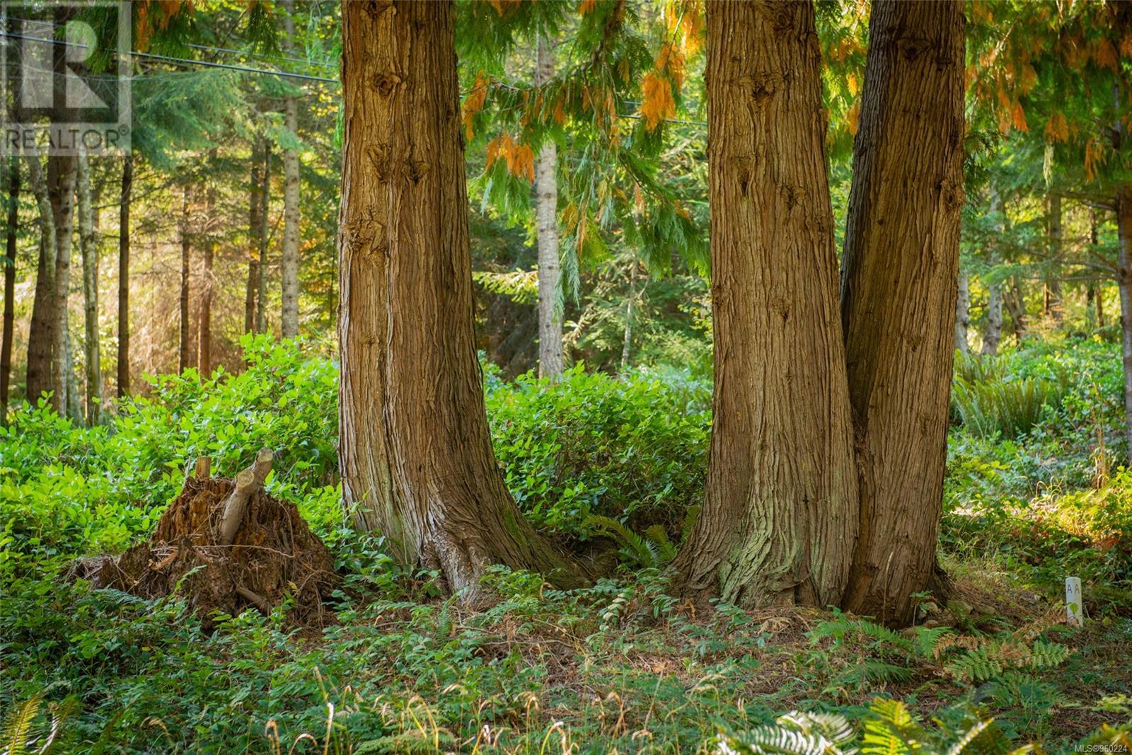 444 Blackburn Rd, Salt Spring