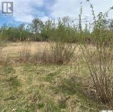 Vacant Land For Sale | 710 Oldroyd Drive | Good Spirit Lake | S0A0L0