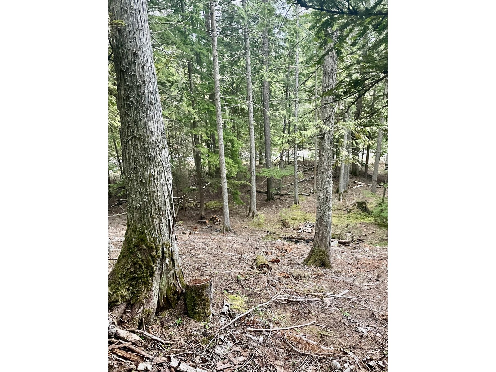  Lot 13 SLOCAN WEST ROAD, Nelson