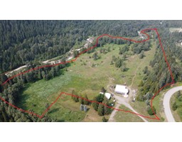 6160 ROTTER SPUR ROAD, Salmo