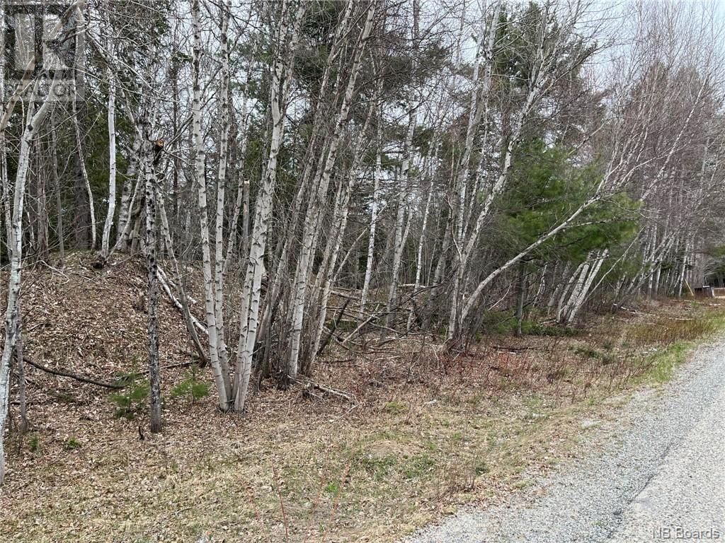 Photo 4 of 1 5 Acres Hambrook Road, Renous NB