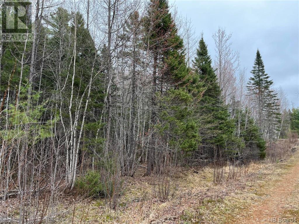 Photo 5 of 1 5 Acres Hambrook Road, Renous NB