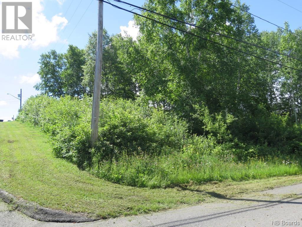 Vacant Land For Sale | Guimont Street | Grand Sault Grand Falls | E3Y1C7