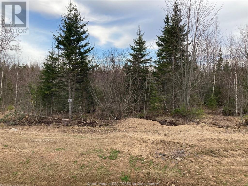 Vacant Land For Sale | Lot 23 30 Maefield Rd | Lower Coverdale | E1J0E7