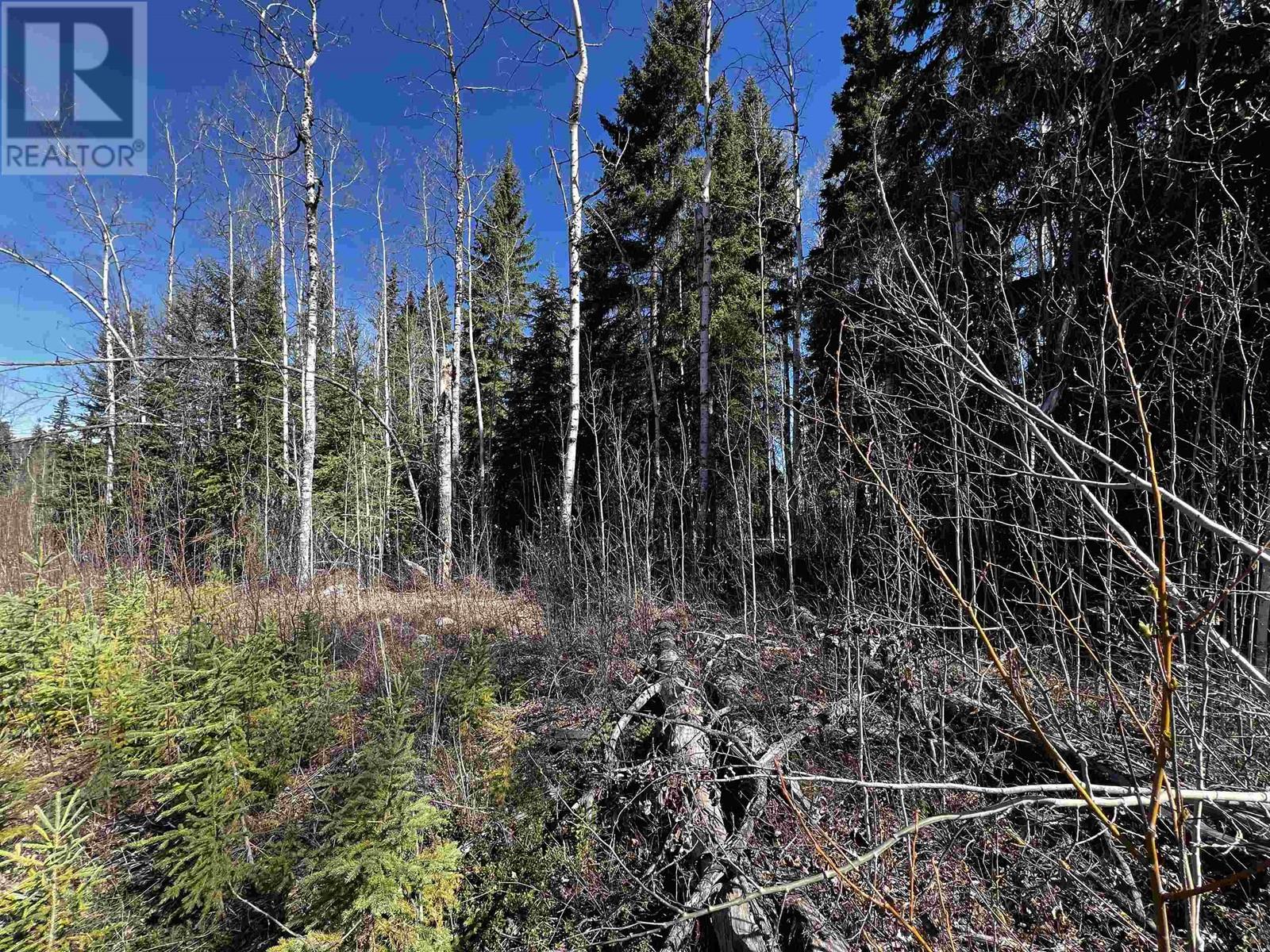 LOT 1 CHARLIE FRONTAGE ROAD, Fraser Lake