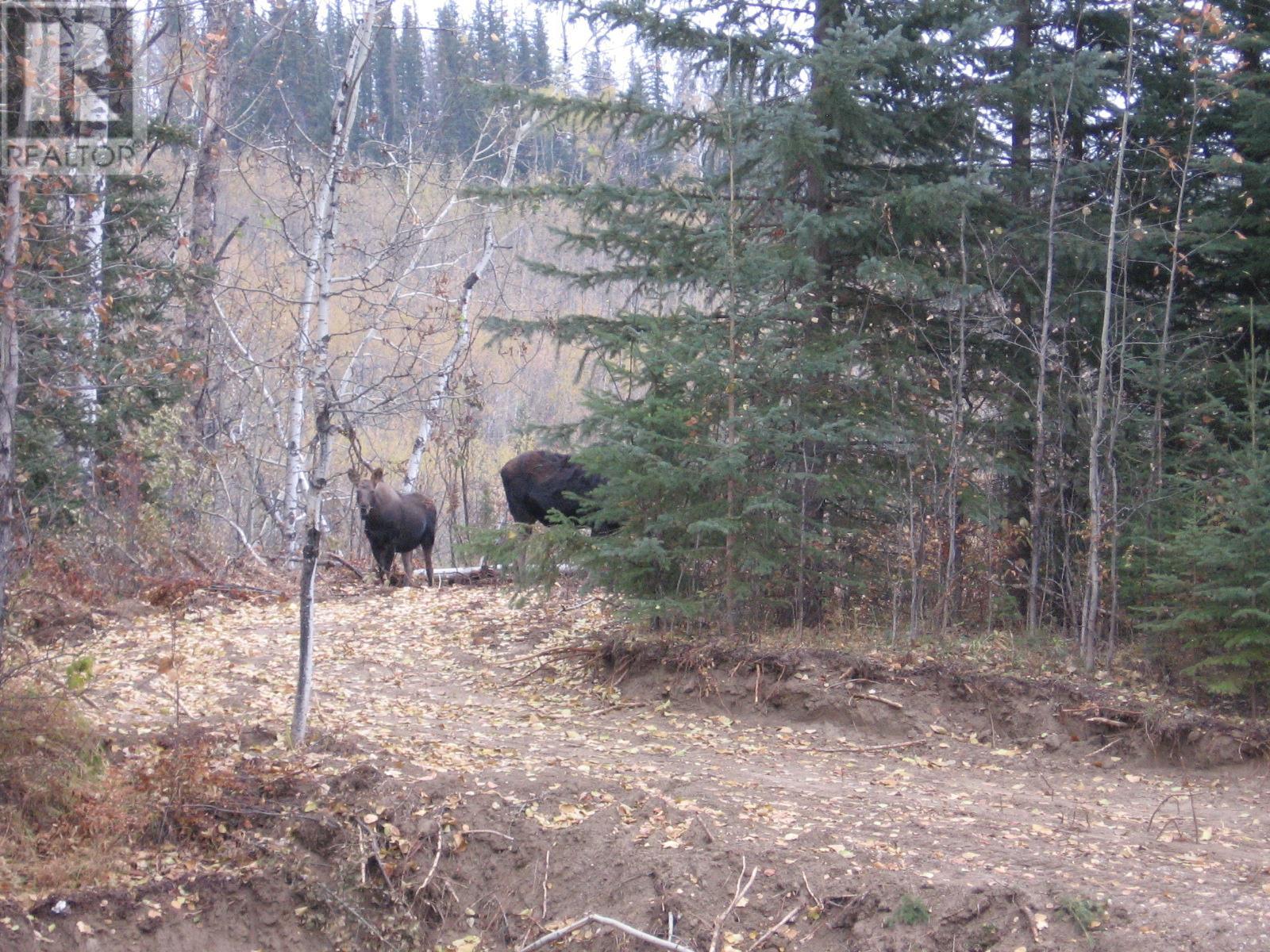 Photo 9 of 240 Riley Crossing Road, Dawson Creek BC