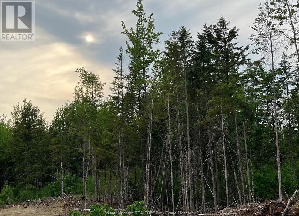 14 Homes for Sale in Lower Coverdale Lower Coverdale Real Estate Ovlix