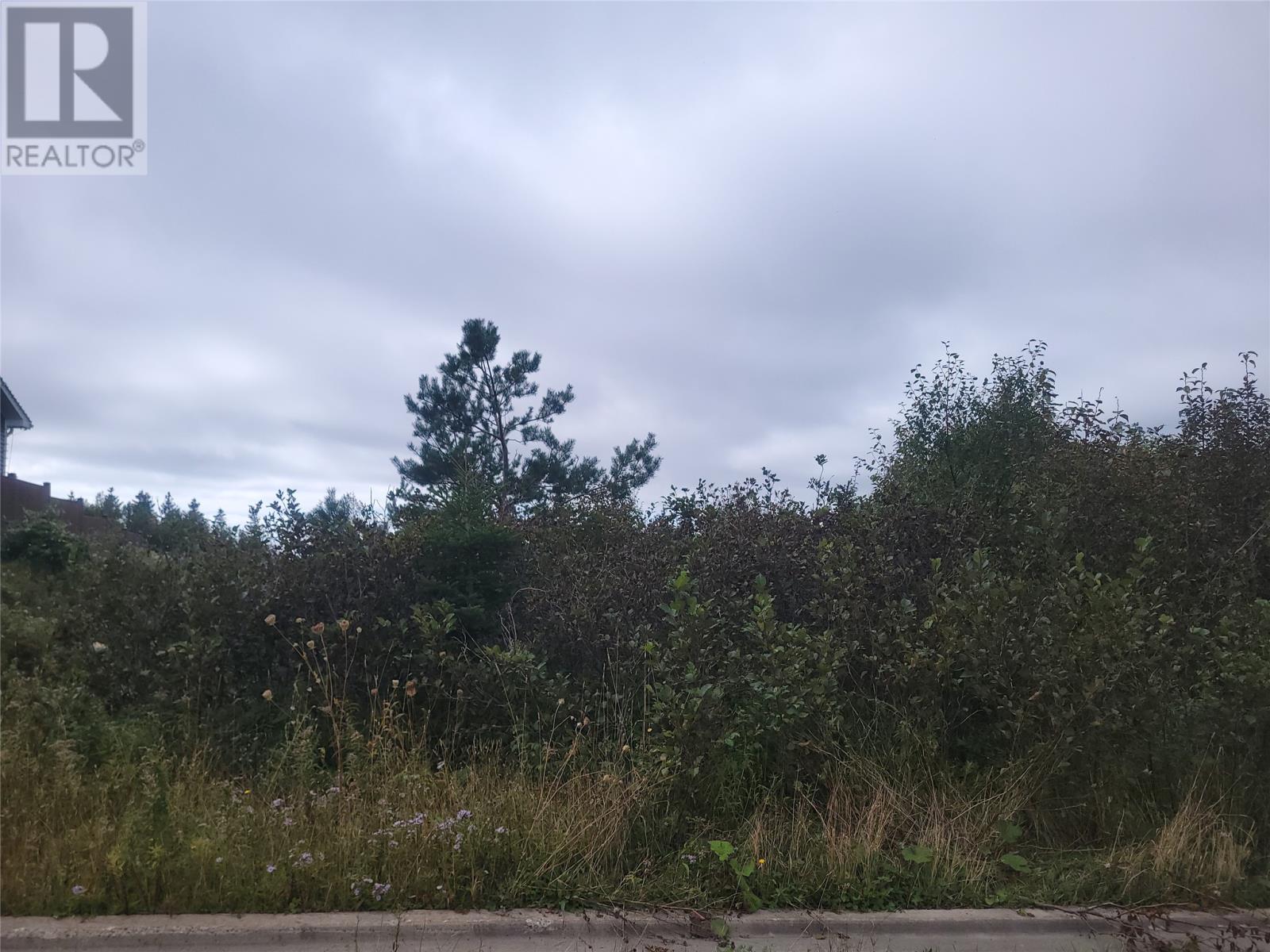Vacant Land For Sale | 4 Ridgeview Avenue | Stephenville | A2N0B7