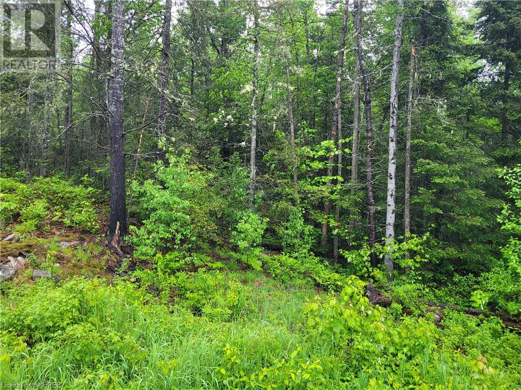 Vacant Land For Sale | Pt Lot 18 Con 11 Papineau Street | Mattawa | P0H1V0