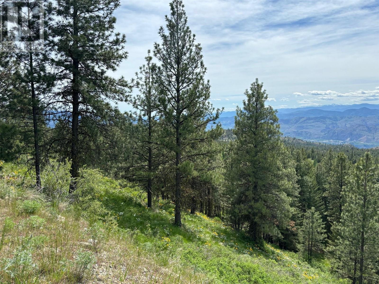 500 SASQUATCH Trail, Osoyoos