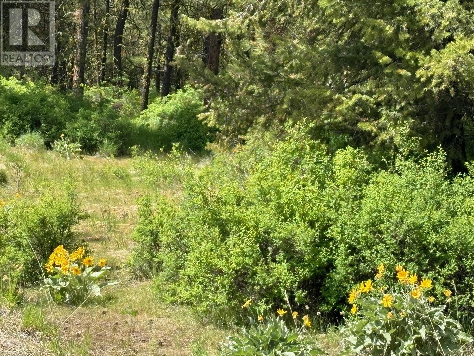 500 SASQUATCH Trail, Osoyoos