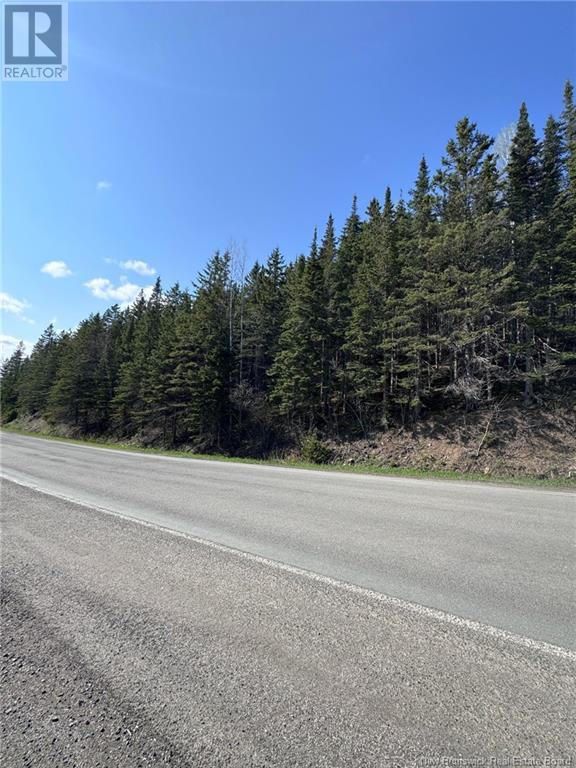 Photo 5 of Lot 270 275 Route, Valdamour NB