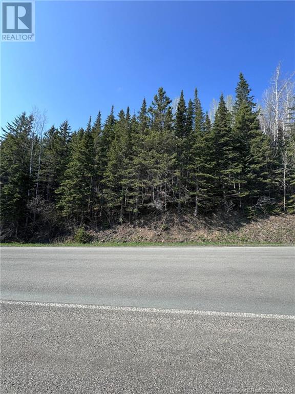 Photo 4 of Lot 270 275 Route, Valdamour NB