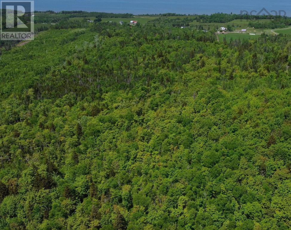 Highway 215, East Walton