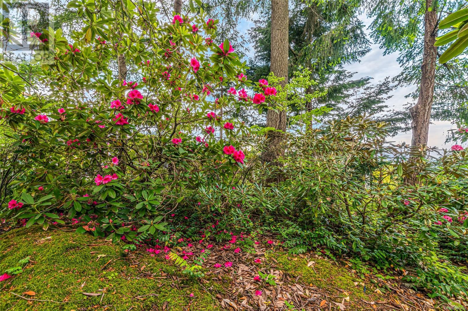 1241 Okanagan Pl, Nanaimo real estate listing 966700