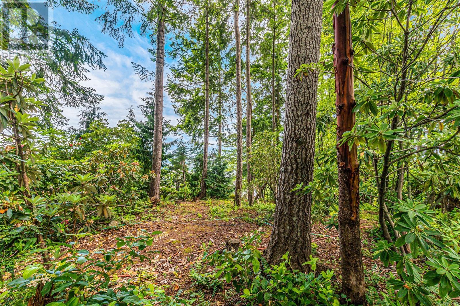 1241 Okanagan Pl, Nanaimo