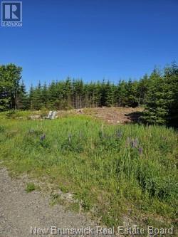 Photo 3 of Dolly Drive, Saint John NB