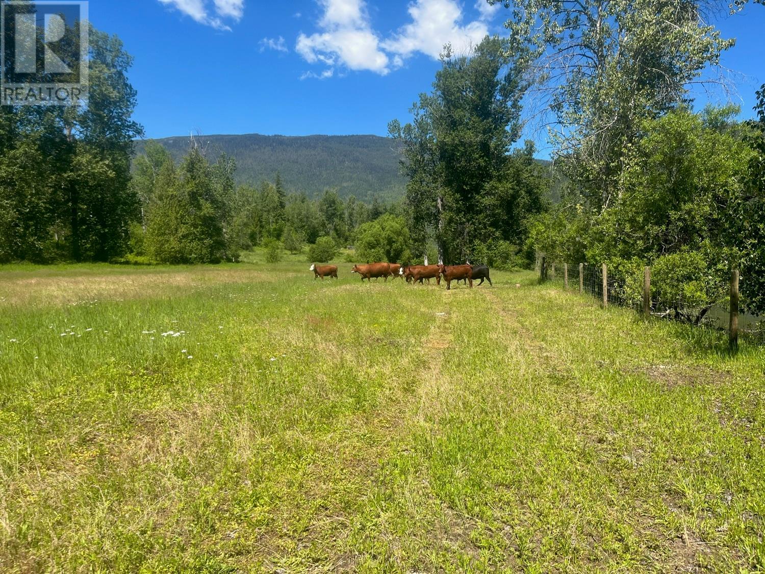  2736 Enderby Mabel Lake Road, Enderby