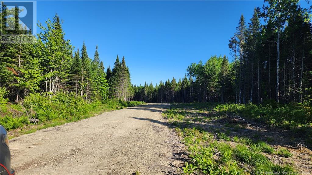 Photo 4 of Lot 2022 5 Church River Road, Lavillette NB