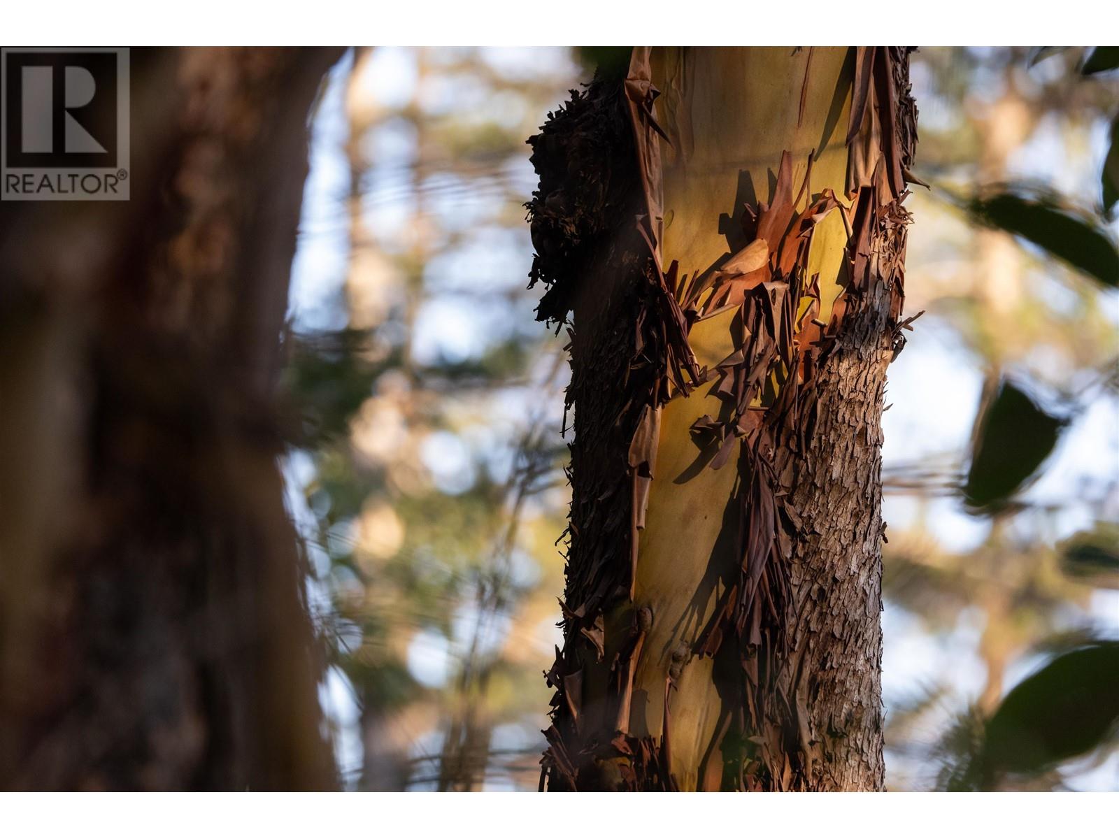 LOT C SUNSHINE COAST HIGHWAY, Sechelt