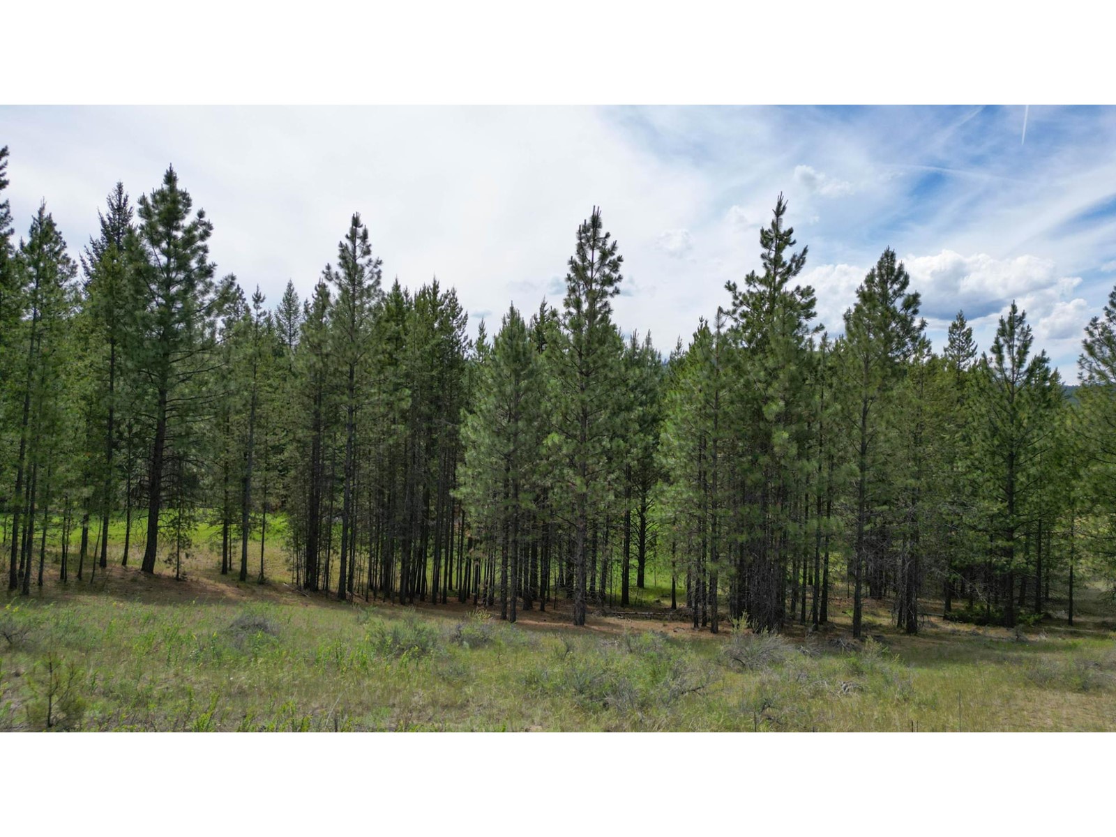 200 CORRAL BOULEVARD, Cranbrook Commercial BC