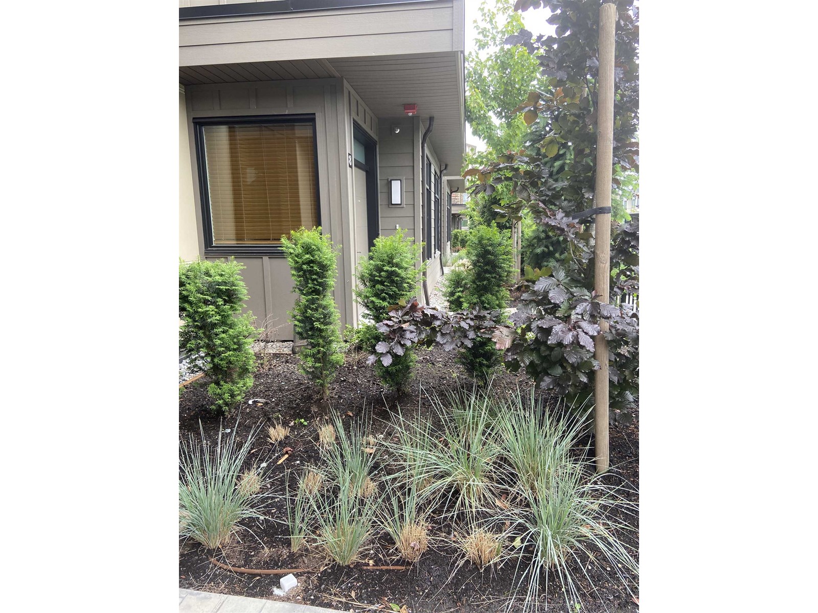 9 8567 204 STREET, Langley real estate listing R2898316