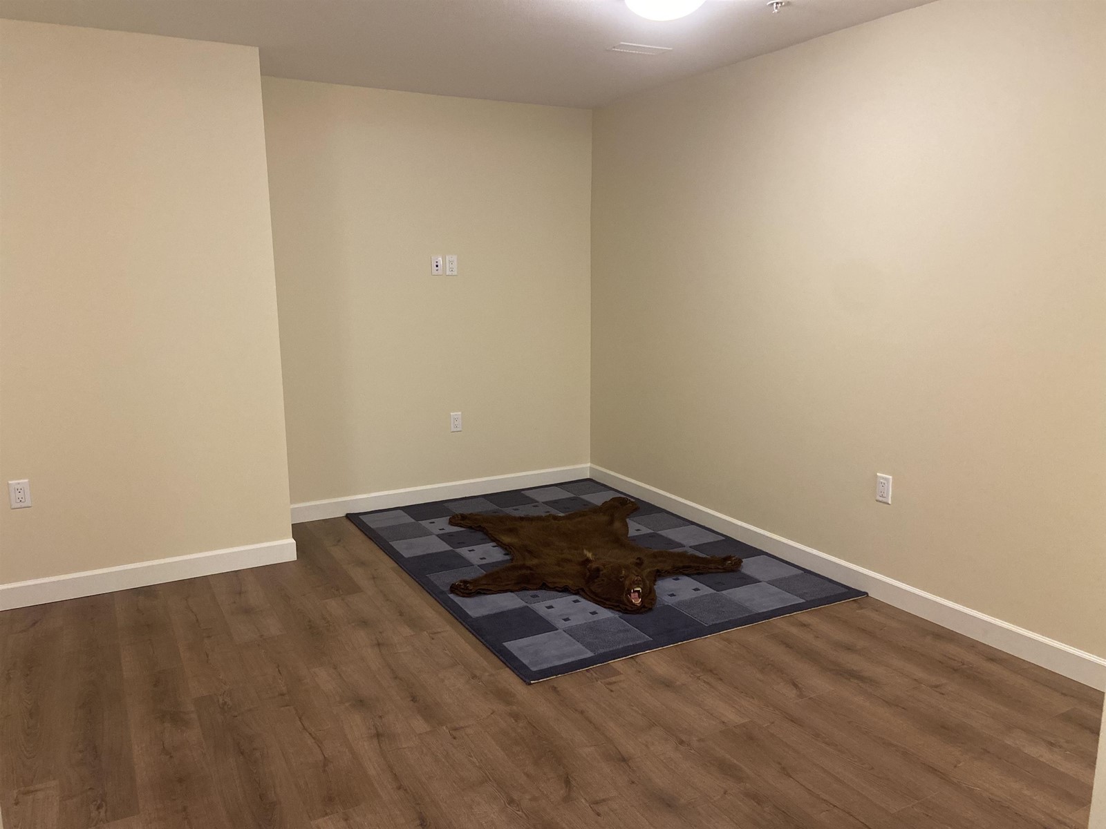 9 8567 204 STREET, Langley real estate listing R2898316