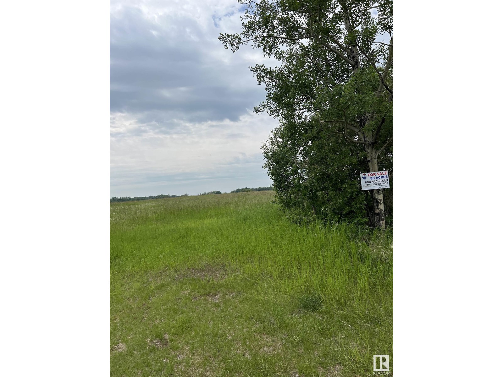 Vacant Land For Sale | Nw 9 61 22 4 | Rural Thorhild County | T0A3J0