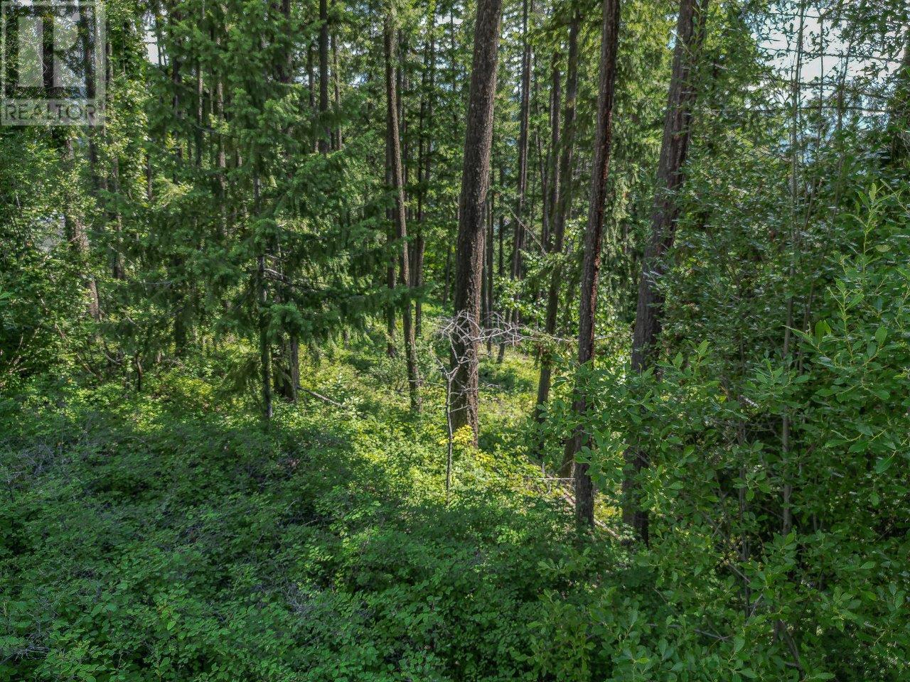 Photo 19 of Lot 25 Forest View Place, Blind Bay BC