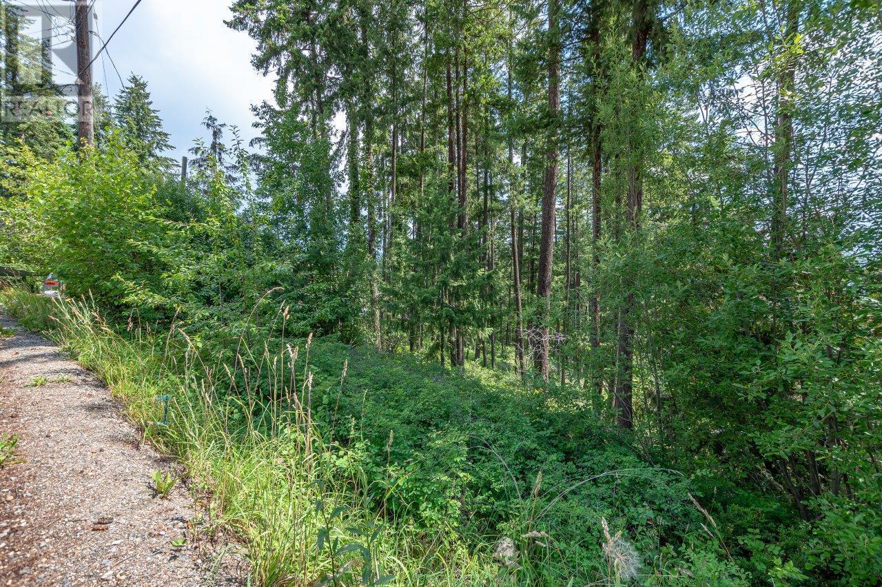 Photo 26 of Lot 25 Forest View Place, Blind Bay BC