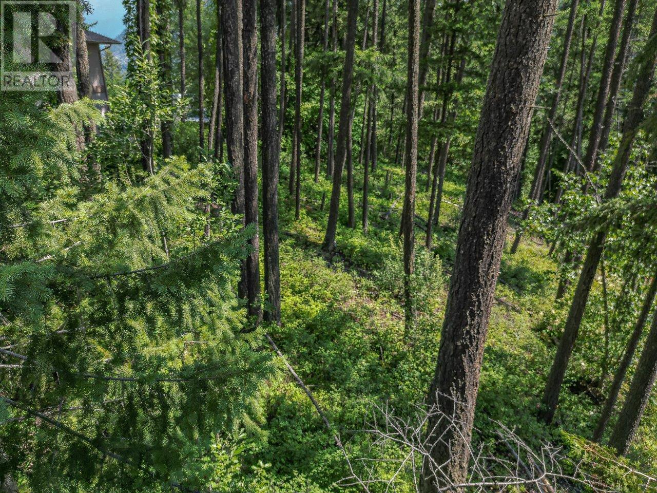 Photo 21 of Lot 25 Forest View Place, Blind Bay BC
