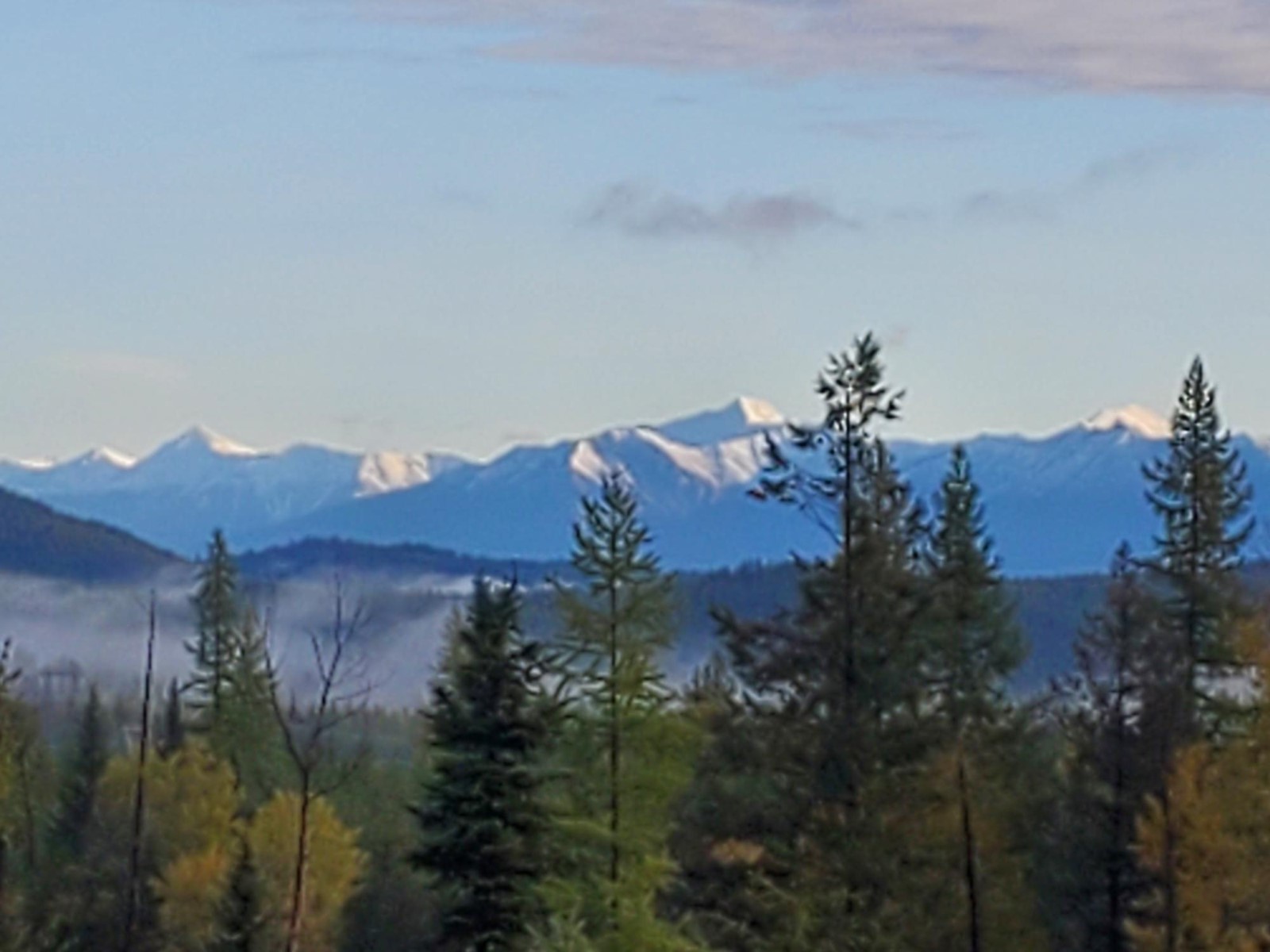 442 Lumberton Road, Cranbrook