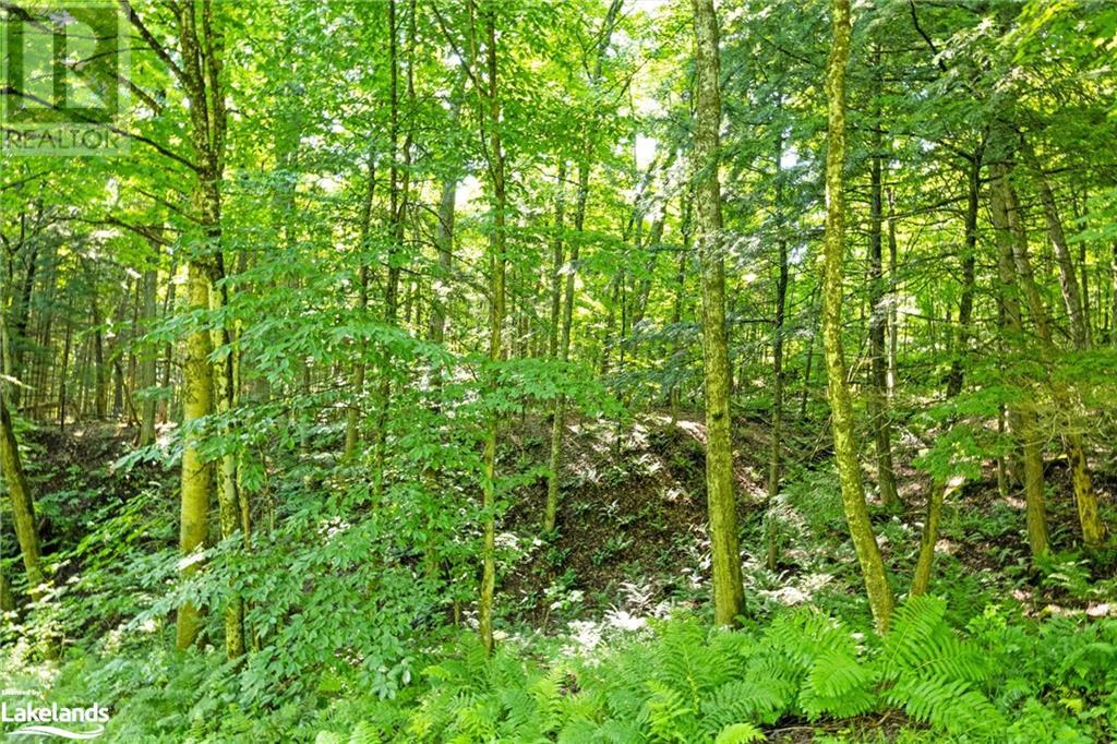 5 Arrow Ridge Road, Port Sydney