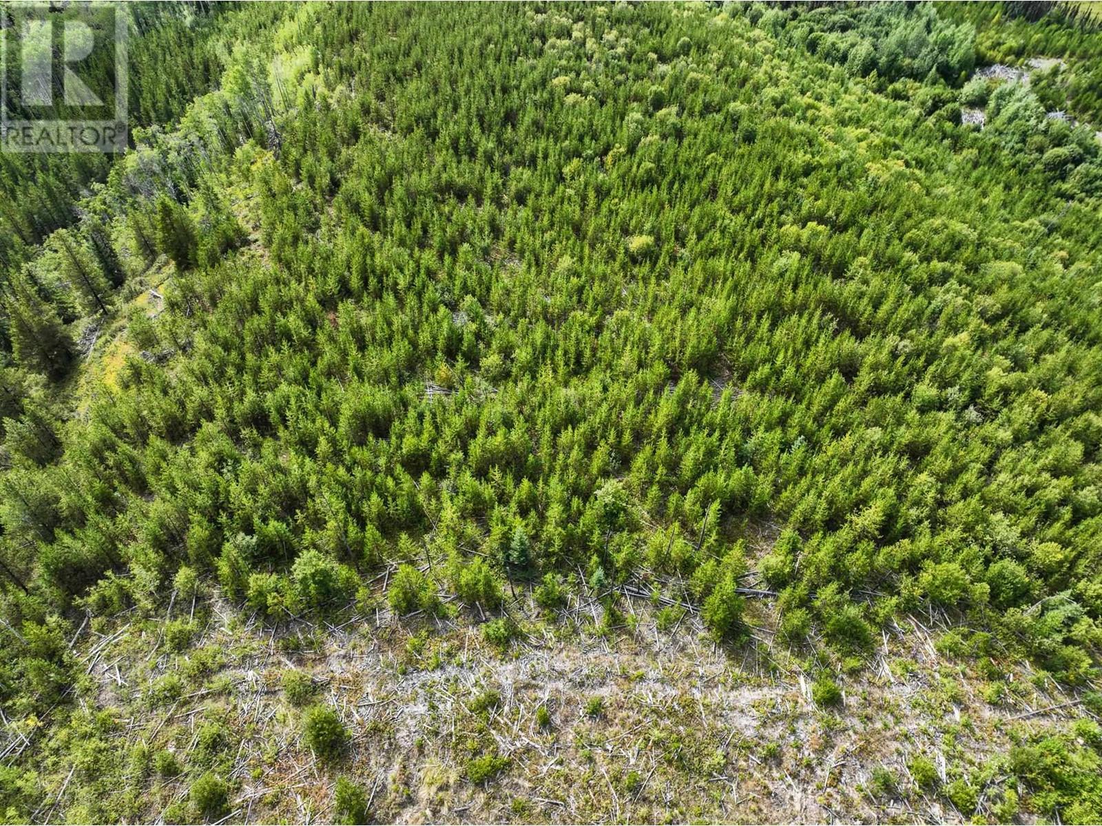Photo 14 of Lot 1 Saxton Lake Road, Prince George BC