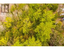 Lt38-39 Silver Lake Road, Kawartha Lakes, ON K0M1K0 Photo 10
